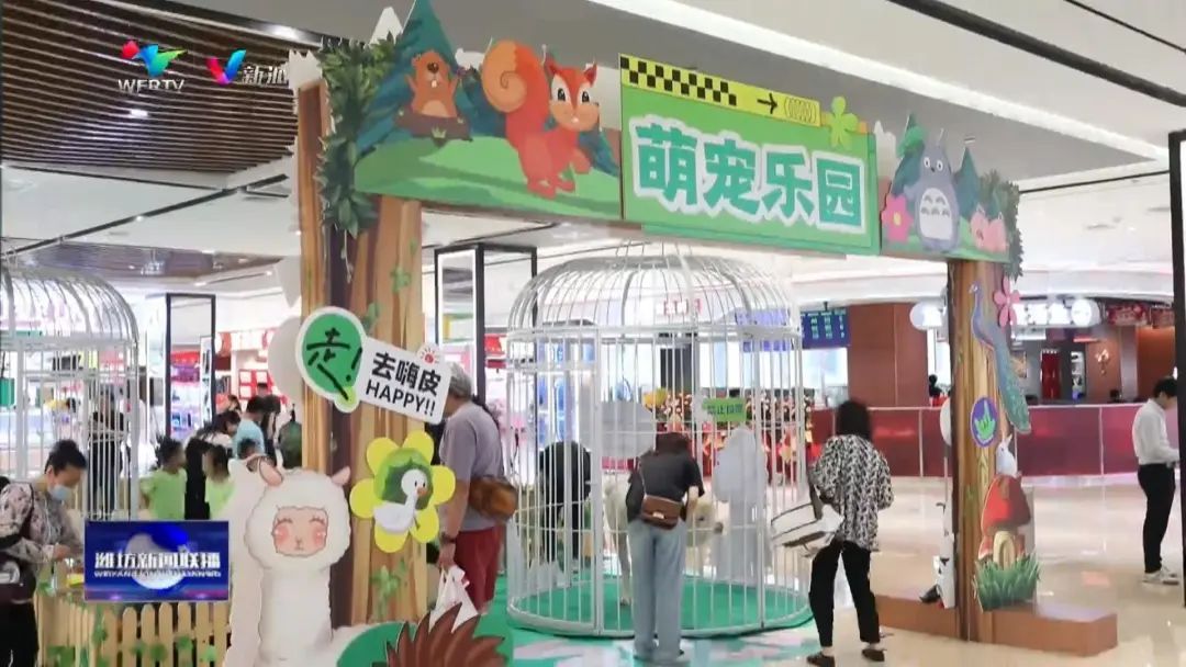 白条提现全攻略，手把手教你轻松提现，附避坑指南