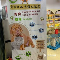 京东白条扫码收款多久能提现 京东白条扫码收款，提现速度揭秘！快来了解你的钱怎么快到账！