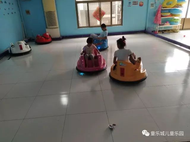 深圳星动萌宠乐园位置与特色全指南
