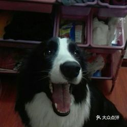 揭秘微信查开房功能，安全与隐私的边界