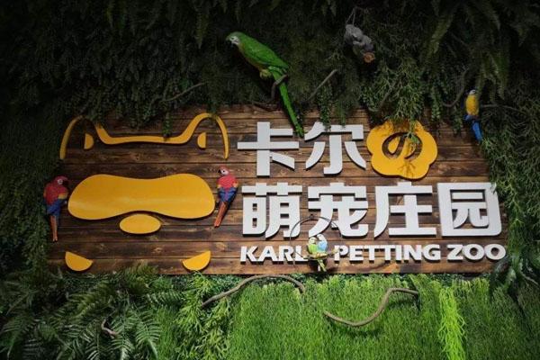 京东白条取现怎么变少了 京东白条取现缩水之谜，揭秘你的取现额度为何减少