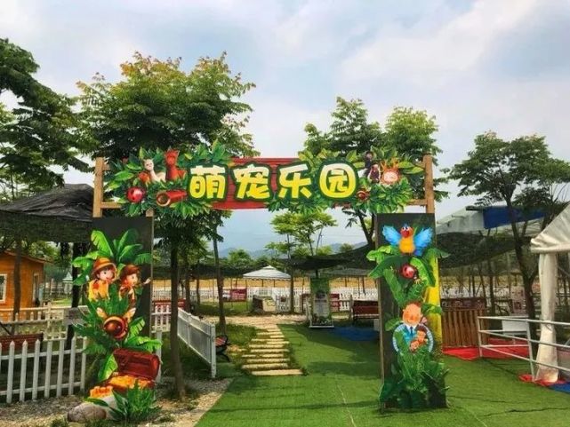 哈尔滨萌宠乐园星级策划服务方案