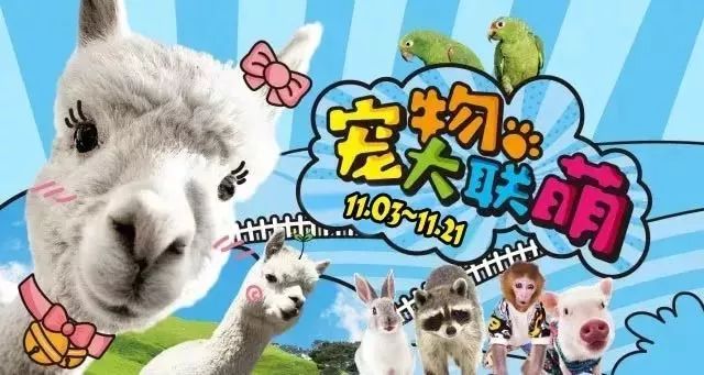 哈尔滨萌宠乐园星级策划服务方案