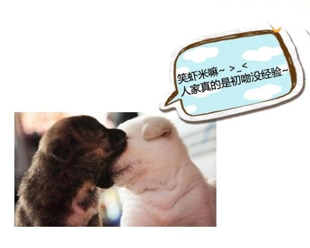 怎么查看女朋友QQ聊天记录？不可取的侵犯隐私行为解析