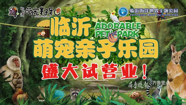 Jindon羊小咩享花卡取现全攻略，手把手教你玩转年轻化金融服务