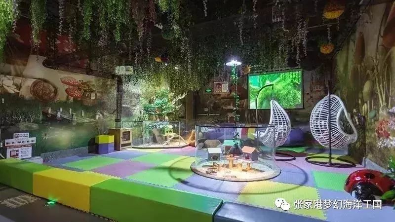 萌宠乐园水彩画教程简单