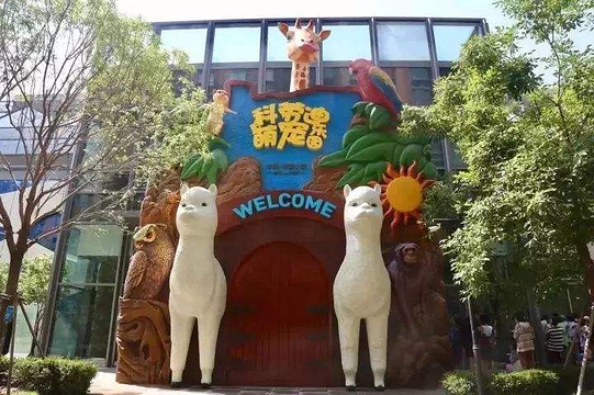 京东白条收款码怎么提现 京东白条收款码轻松提现指南，让你钱到账快人一步！