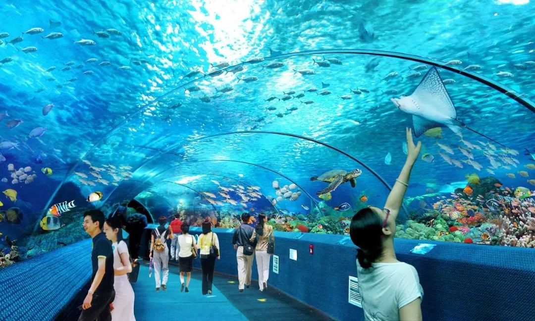 厦门萌宠乐园加盟费用详解