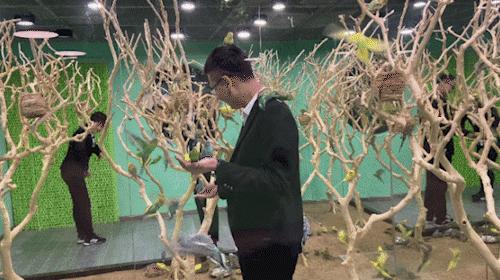 得物佳物分期额度提现商家揭秘，重新开通后额度还在吗？