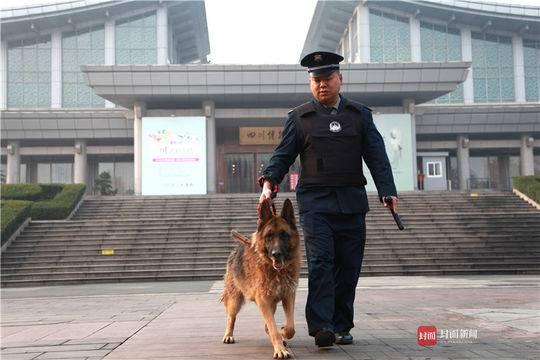 萌宠乐园喂养兔子吃草指南