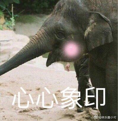 怎么查开了那些酒店记录？一步步教你轻松搞定