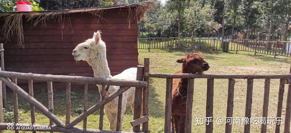 微信分付提现额度可以用吗 微信分付提现额度详解，能用吗？怎么用？