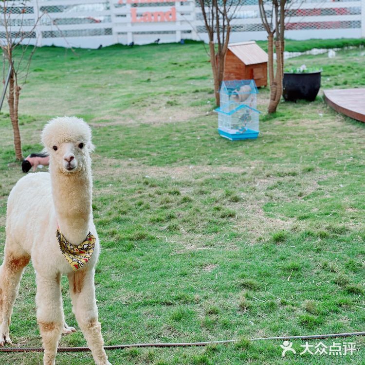 衡阳萌宠乐园团购活动火热进行中