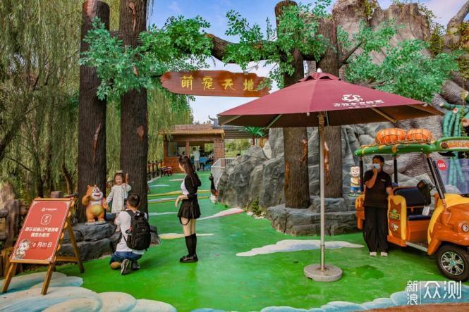 公安网能查开房记录吗？解读相关法规与实际操作