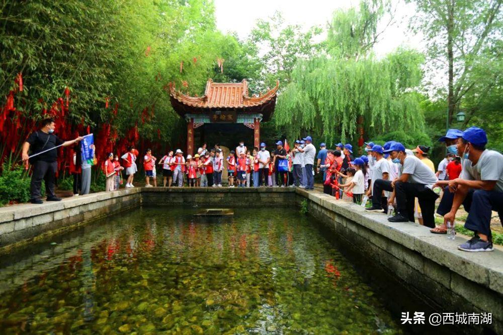 公安网能查开房记录吗？解读相关法规与实际操作