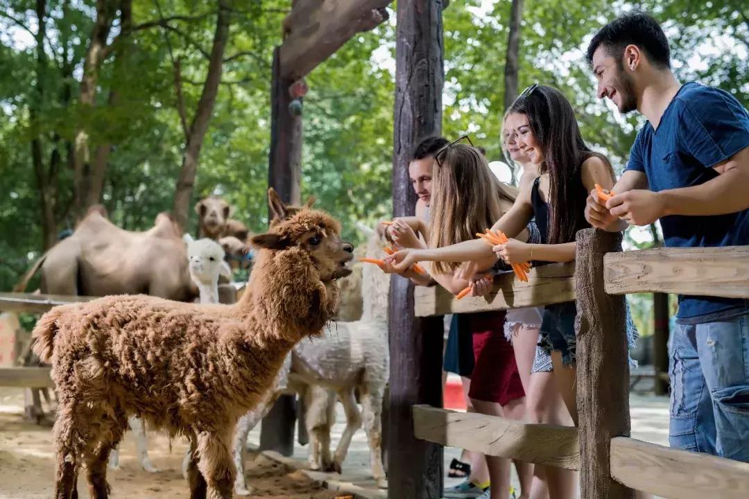 微信分付提现免费额度能用吗 微信分付提现免费额度揭秘，能用吗？怎么用？