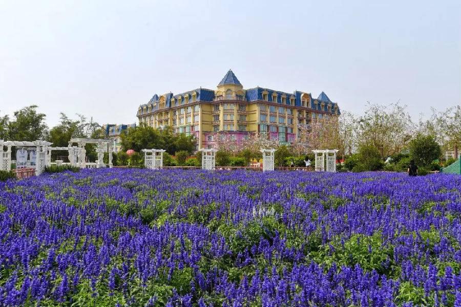 燕郊水榭花城对面萌宠乐园—探索宠物乐趣的乐园