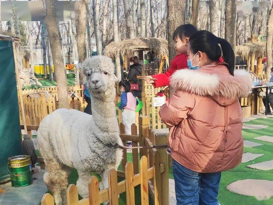 张家口萌宠乐园项目简介