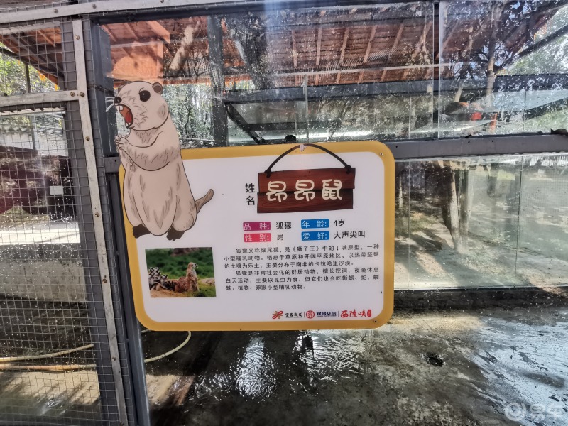 艾尔萌宠乐园官网入口