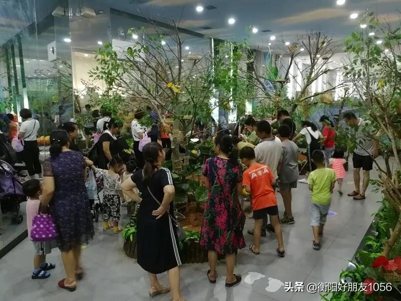 微信分付提现免费额度在哪里 微信分付提现免费额度揭秘，如何轻松找到你的免费提现福利？