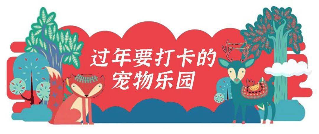 京东白条如何快速提现到 京东白条快速提现攻略，轻松把额度变现金！