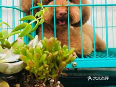 京东白条如何快速提现到 京东白条快速提现攻略，轻松把额度变现金！