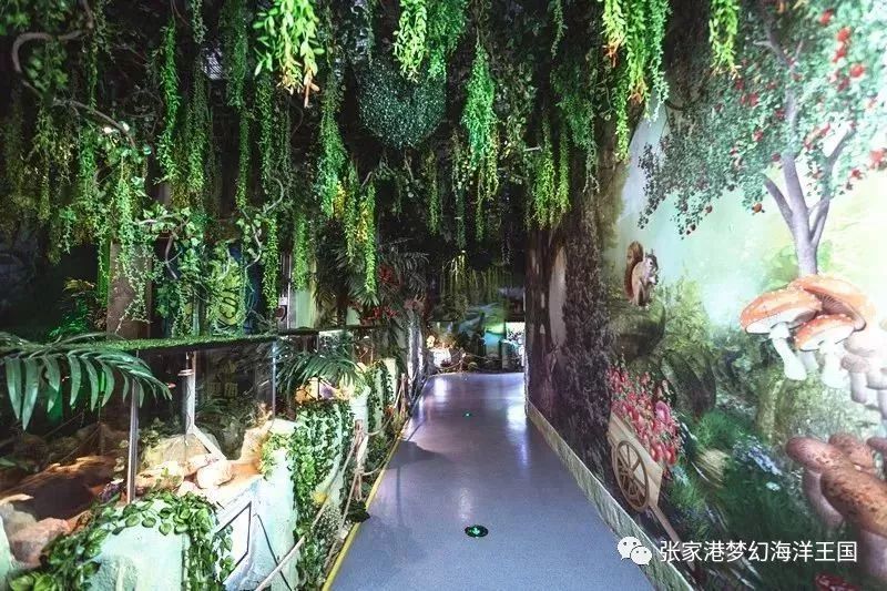 哪里可以提现京东白条？