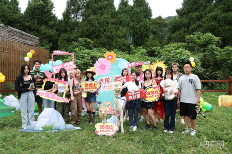 萌宠乐园兔子栅栏获取攻略