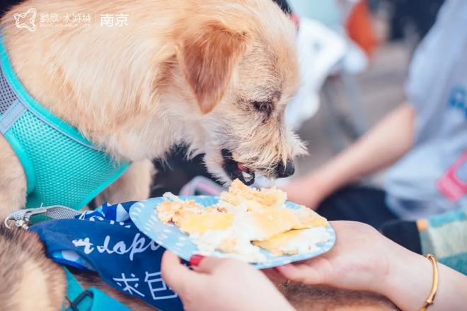 抖音月付有什么可以套出来的 揭秘抖音月付，这些隐藏福利你绝对不能错过！