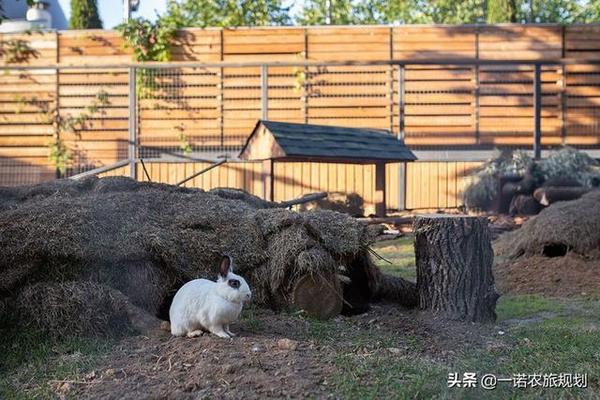 抖音月付用什么套出来好 抖音月付会员，这些套路让你轻松解锁！