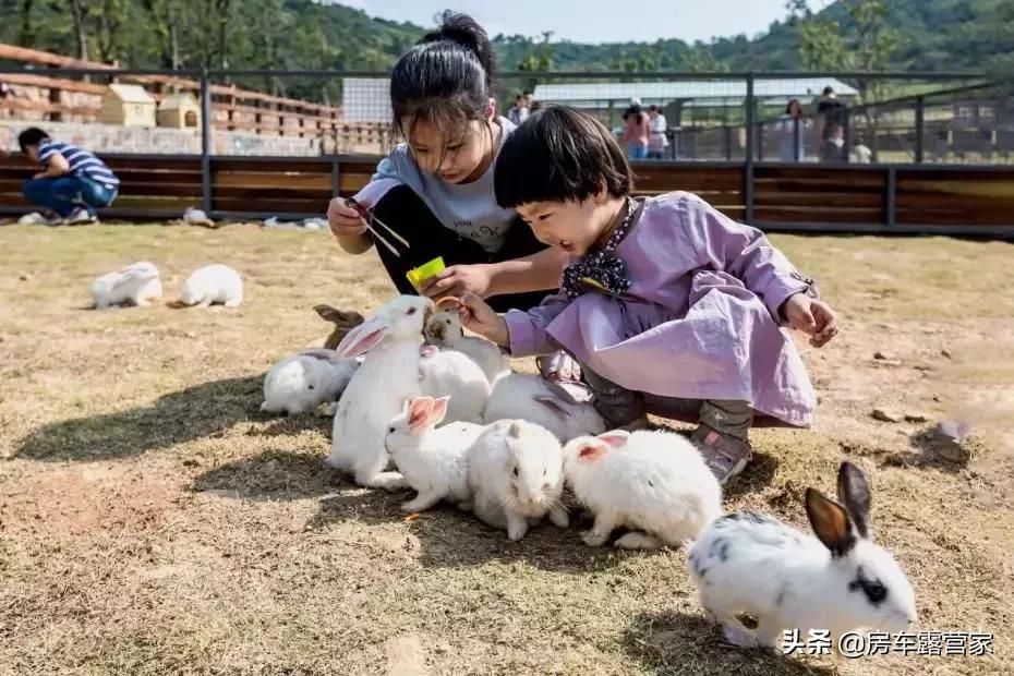 微信分付提现免手续费额度 微信分付提现免手续费额度大揭秘，省钱攻略来了！