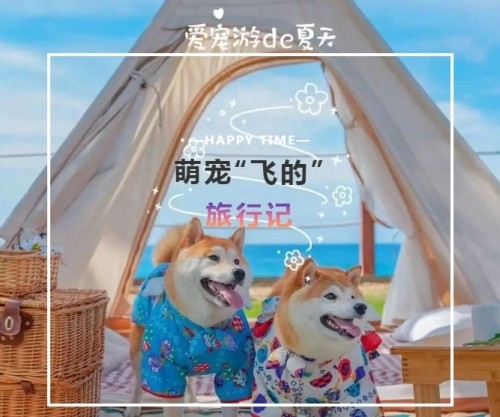 吉首萌宠乐园门票体验