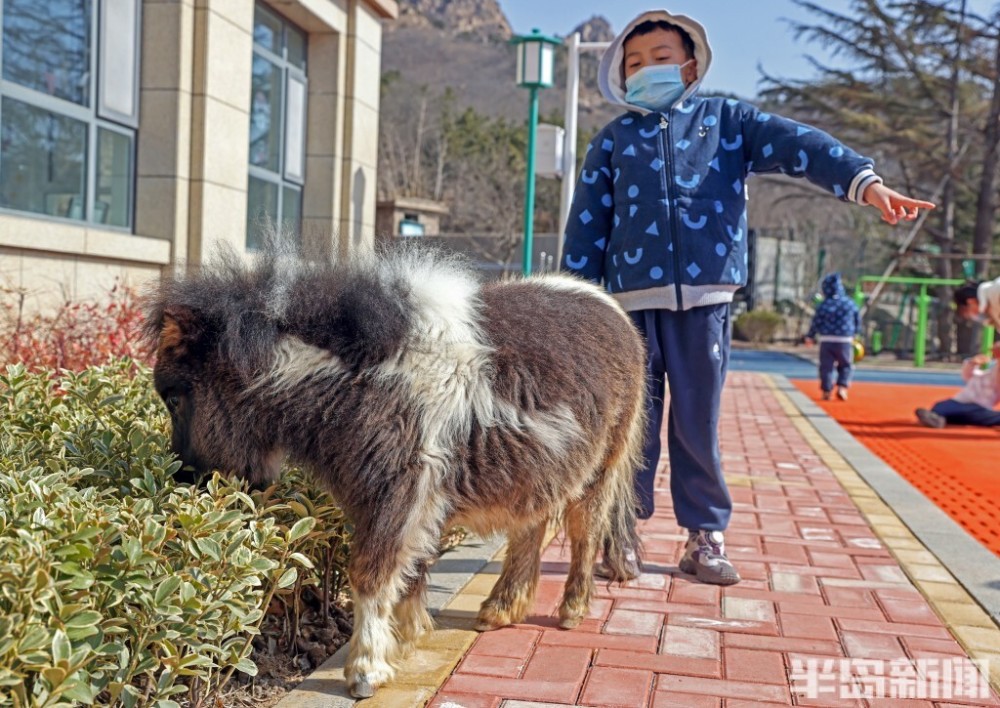 微店京东白条提现手续费详解