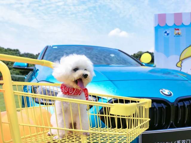 邹平白条套出来多少利息 邹平白条套现，揭秘利息成本大揭秘！