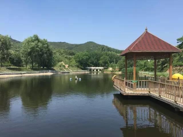 敦煌萌宠乐园，探索月牙泉的萌宠奇遇记