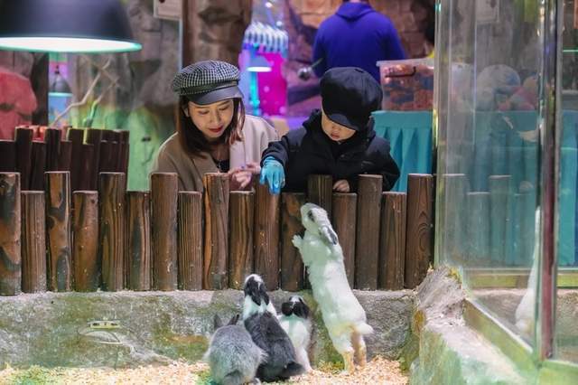 桃多多提现额度突然下降？手把手教你5招恢复和提额技巧