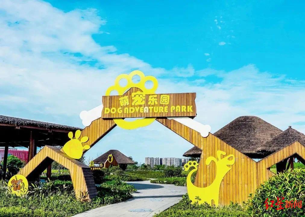 萌宠乐园员工入职培训，开启新篇章
