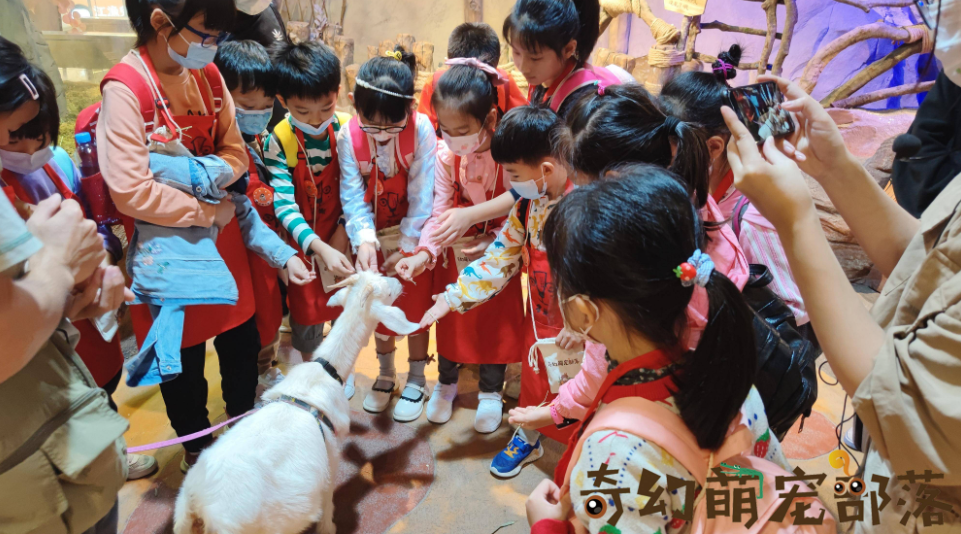 微信分付提现收费比例 微信分付提现收费比例全解析，揭秘手续费背后的真相