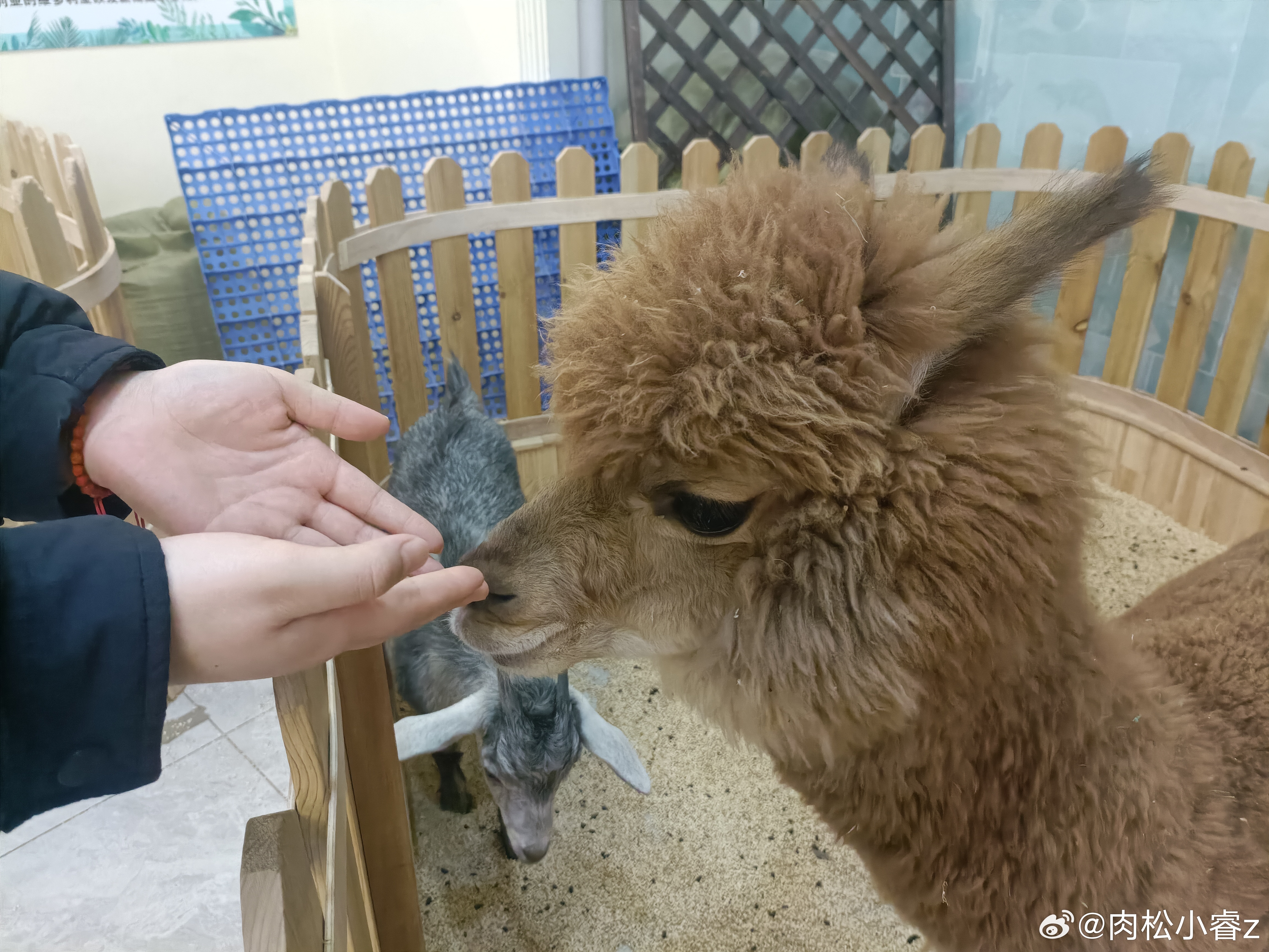 自己可以兑现白条 自己可以兑现白条，轻松实现消费梦想！