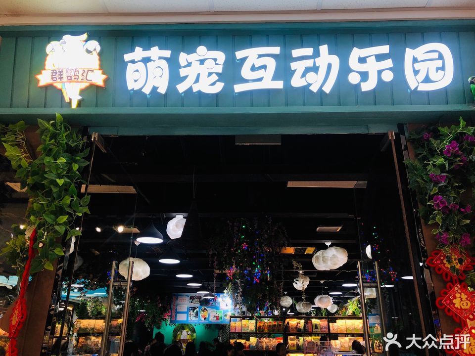 狼的萌宠乐园养猫好吗？案例分析与心得体会