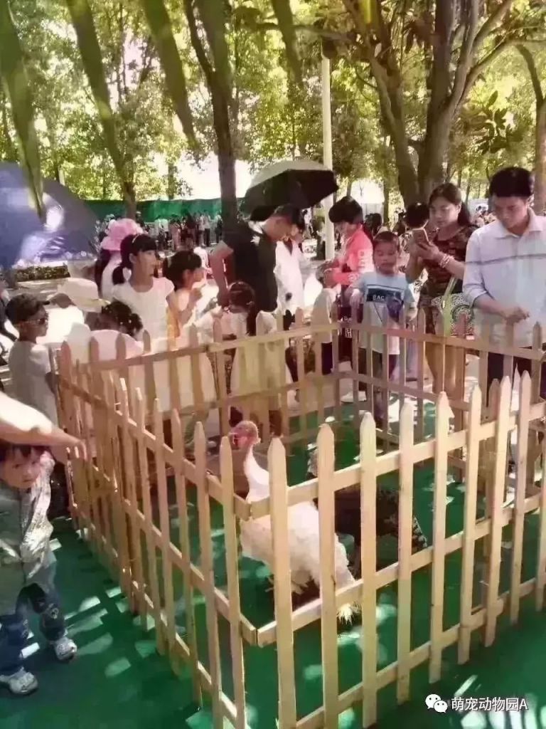 京东白条扫自己的收款码提现 京东白条扫收款码轻松提现，操作指南+案例分享