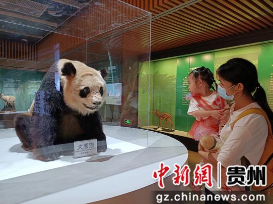 微信分付提现哪里安全吗 微信分付提现安全指南，揭秘安全提现的秘诀！