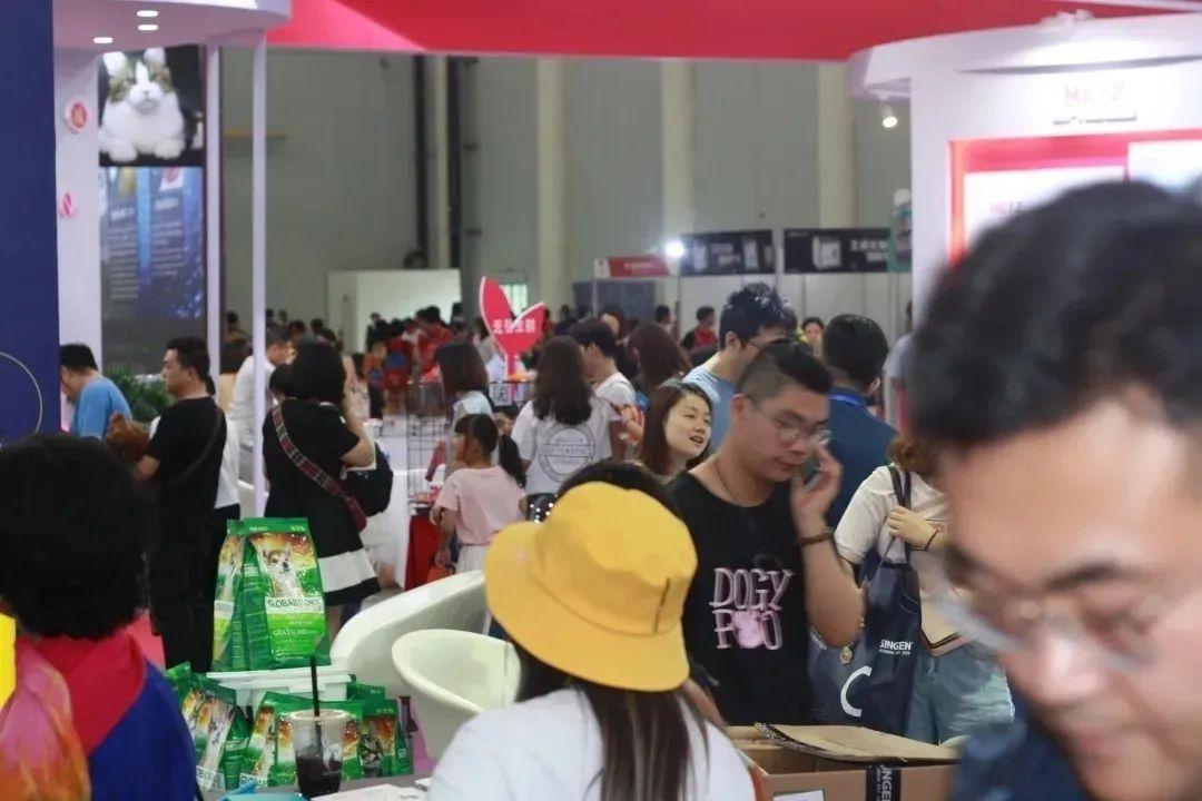 羊小咩便荔卡兑现主播真实性探究—深度解析与案例分析