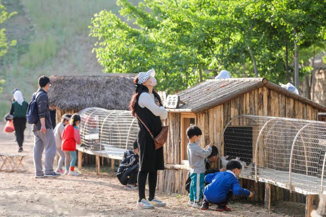 羊小咩便荔卡兑现主播真实性探究—深度解析与案例分析