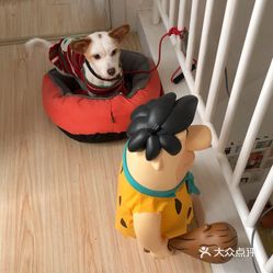 鹿优选额度提现指南，如何高效利用你的专属优惠