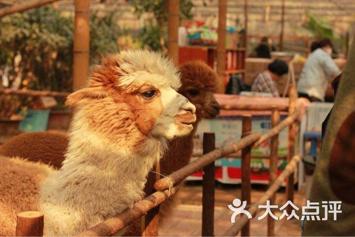 萌宠乐园饲料价格表最新
