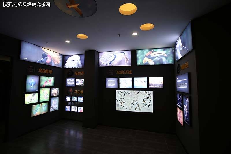 京东白条收钱可以直接提现吗 京东白条收钱，提现攻略来了！别再错过这些小秘密！