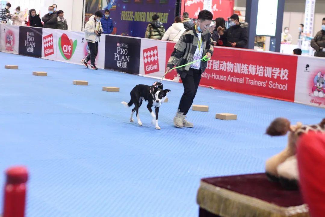如何查老婆喜欢删除聊天记录？这些技巧或许能帮到你