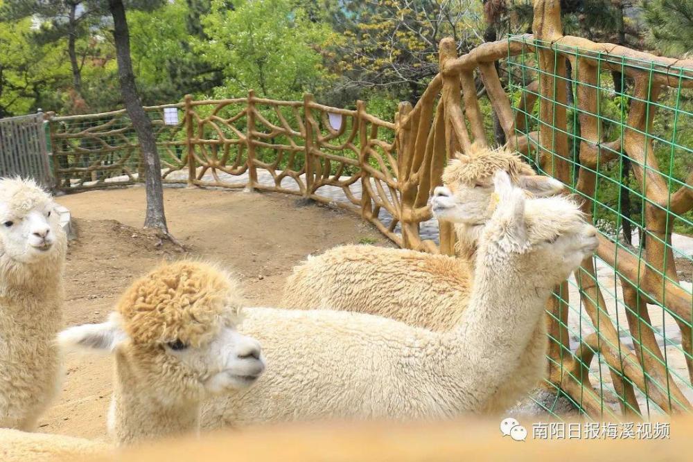 京东白条收钱金额怎么提现 京东白条收钱金额提现攻略，轻松操作，快速到账！