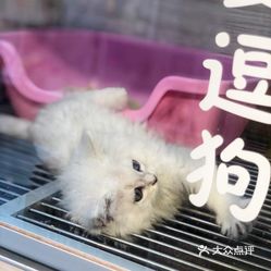 住宿记录查询系统，功能、应用与优势解析